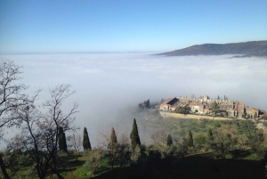 Fra Firenze: Siena, Cortona, Montepulciano og Val d'Orcia