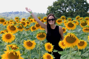 Fra Firenze: Siena, Cortona, Montepulciano og Val D'Orcia