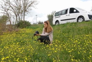 Fra Firenze: Siena, Cortona, Montepulciano og Val D'Orcia