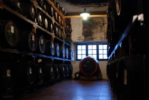 Firenzestä: Siena, San Gimignano & Chianti: Siena, San Gimignano & Chianti