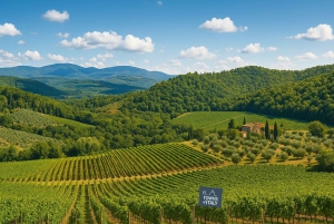 A partir de Florença: excursão guiada a Siena e San Gimignano com jantar