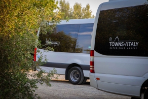 A partir de Florença: excursão guiada a Siena e San Gimignano com jantar