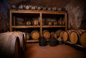 A partir de Florença: excursão guiada a Siena e San Gimignano com jantar