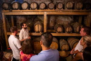 A partir de Florença: excursão guiada a Siena e San Gimignano com jantar