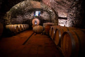 A partir de Florença: excursão guiada a Siena e San Gimignano com jantar