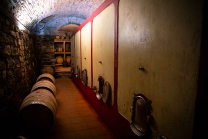 A partir de Florença: excursão guiada a Siena e San Gimignano com jantar