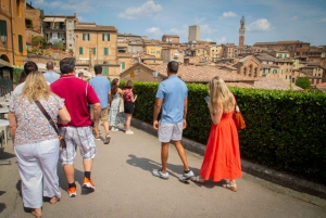 A partir de Florença: excursão guiada a Siena e San Gimignano com jantar