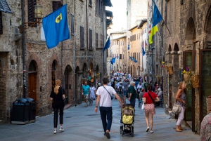 A partir de Florença: excursão guiada a Siena e San Gimignano com jantar