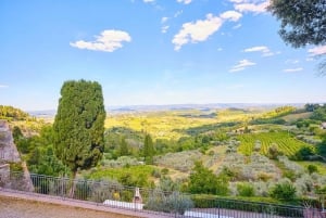 Fra Firenze: Tur til Siena, San Gimignano og Monteriggioni