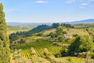 Siena, San Gimignano & Monteriggioni Tour