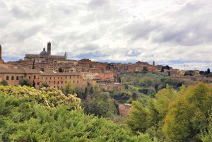 Fra Firenze: Tur til Siena og San Gimignano med udsigt over Chianti