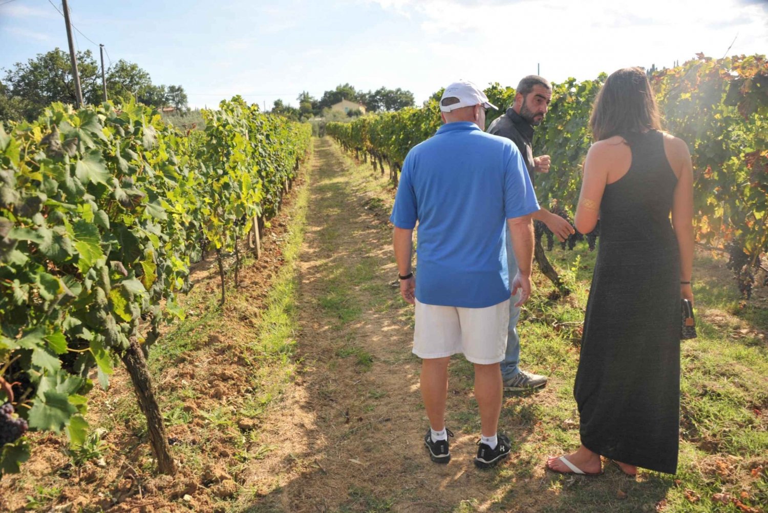 Z Florencji: Toskania, Siena, San Gimignano i lunch w winiarni