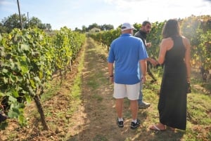 Z Florencji: Toskania, Siena, San Gimignano i lunch w winiarni