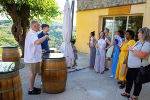 Depuis Florence : visite des vignobles du Chianti en petit groupe avec déjeuner