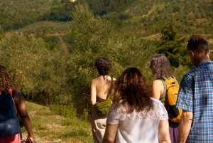 Depuis Florence : visite des vignobles du Chianti en petit groupe avec déjeuner