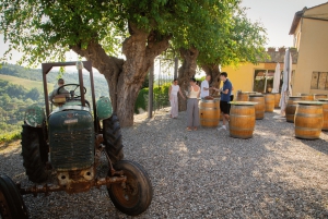 Depuis Florence : visite des vignobles du Chianti en petit groupe avec déjeuner