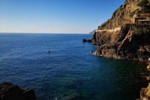 Von Florenz aus: Kleingruppentour nach Cinque Terre und Pisa