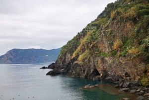 Von Florenz aus: Kleingruppentour nach Cinque Terre und Pisa