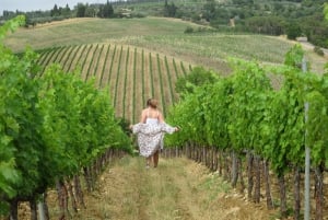 Desde Florencia: Ruta del Vino Chianti en Grupo Reducido de Medio Día