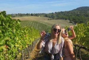 Da Firenze: tour del vino Chianti di mezza giornata per piccoli gruppi