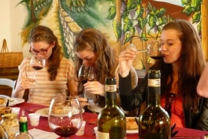 Da Firenze: tour del vino Chianti di mezza giornata per piccoli gruppi