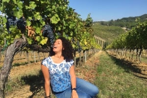 Von Florenz aus: Halbtägige Chianti-Weintour in kleiner Gruppe