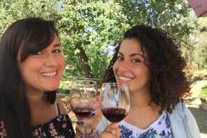 Z Florencji: półdniowa wycieczka po winnicach Chianti w małych grupach