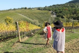 Au départ de Florence : Excursion d'une demi-journée en petit groupe dans le vignoble du Chianti