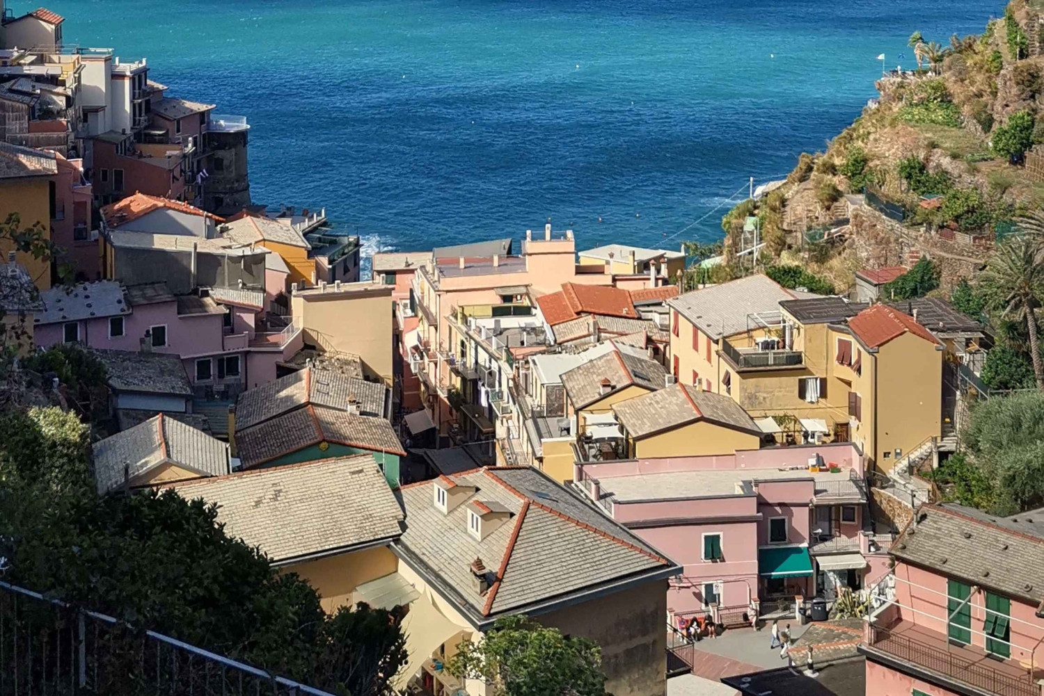 Vanuit Florence: Dagtour in kleine groep naar Cinque Terre en Pisa
