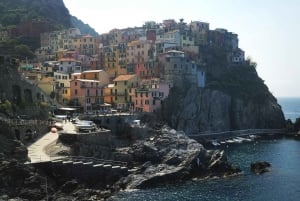 Fra Firenze: Liten gruppe på dagstur til Cinque Terre og Pisa