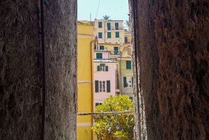 Au départ de Florence : Visite en petit groupe des Cinque Terre et de Pise