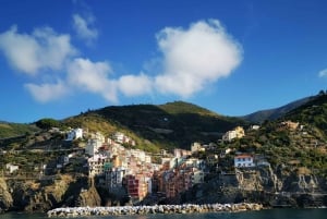 Fra Firenze: Lille gruppe på dagstur til Cinque Terre og Pisa
