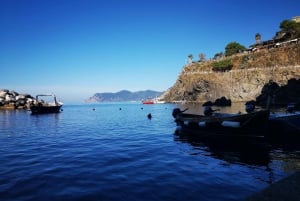 Z Florencji: Jednodniowa wycieczka w małej grupie do Cinque Terre i Pizy