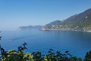 From Florence: Small-group to Cinque Terre and Pisa Day Tour