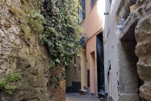 Från Florens: Dagstur i liten grupp till Cinque Terre och Pisa