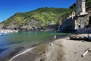 Au départ de Florence : Visite en petit groupe des Cinque Terre et de Pise