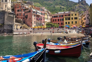 Vanuit Florence: Dagtour in kleine groep naar Cinque Terre en Pisa