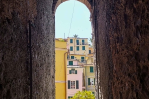 Vanuit Florence: Dagtour in kleine groep naar Cinque Terre en Pisa