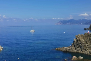Vanuit Florence: Dagtour in kleine groep naar Cinque Terre en Pisa