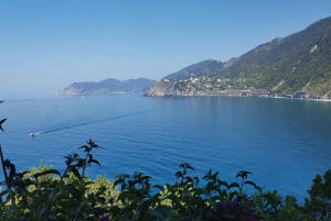 Vanuit Florence: Dagtour in kleine groep naar Cinque Terre en Pisa