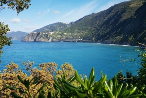 Vanuit Florence: Dagtour in kleine groep naar Cinque Terre en Pisa