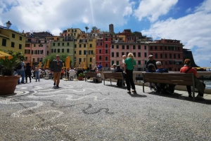 Vanuit Florence: Dagtour in kleine groep naar Cinque Terre en Pisa