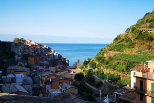 Vanuit Florence: Dagtour in kleine groep naar Cinque Terre en Pisa