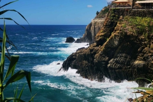 Vanuit Florence: Dagtour in kleine groep naar Cinque Terre en Pisa