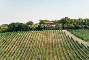 Z Florencji: degustacja wina w małej grupie do Toskanii