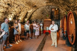 De Florença: Excursão de Degustação de Vinhos na Toscana
