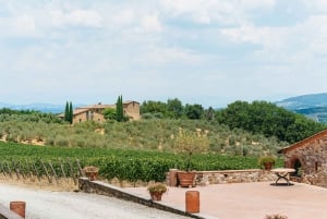 Toscane : excursion et dégustation de vin en petit groupe