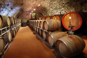 From Florence: Small Group Wine Tasting Tour to Tuscany