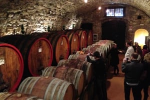 From Florence: Small Group Wine Tasting Tour to Tuscany