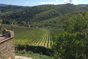 From Florence: Small Group Wine Tasting Tour to Tuscany